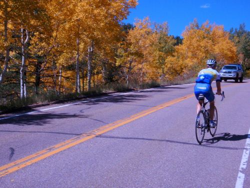 trees are at the height of their fall color.